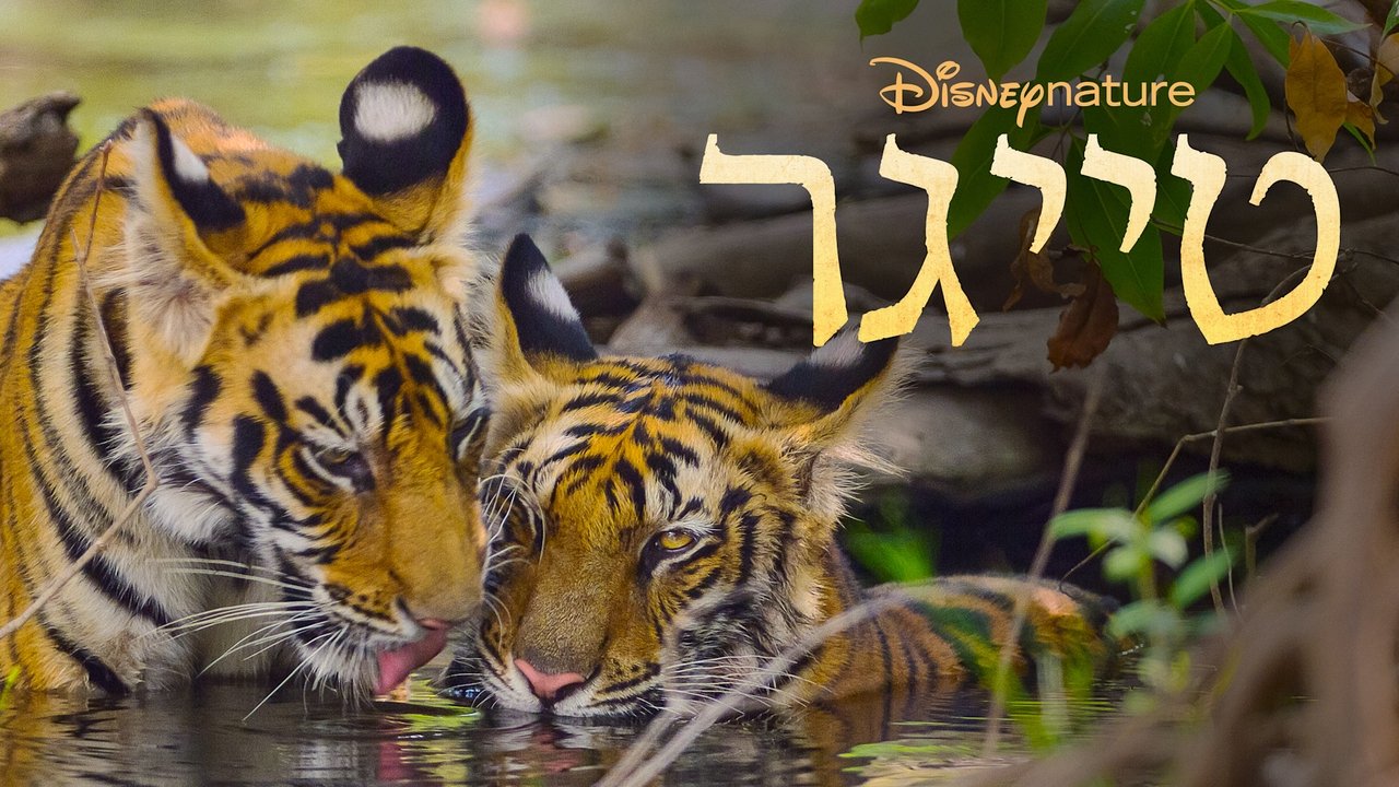 title image