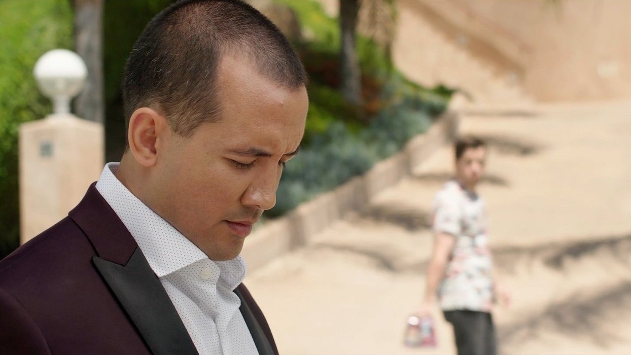 Graduation Afternoon