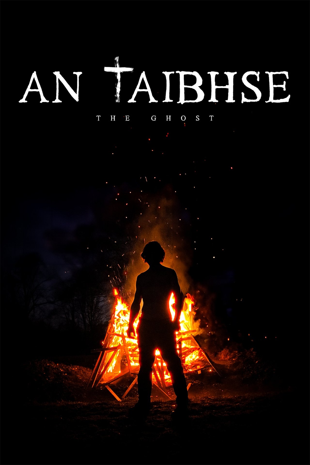 An Taibhse