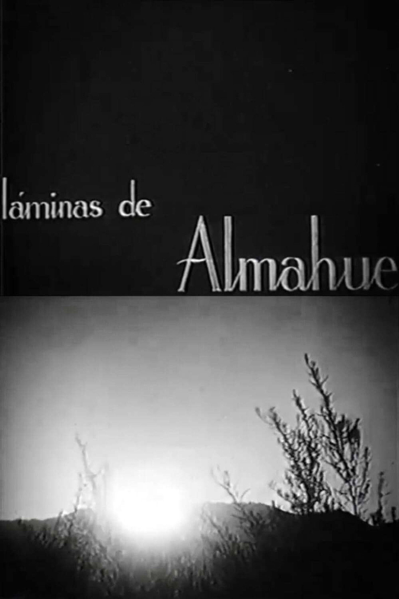 Láminas de Almahue filmaffisch