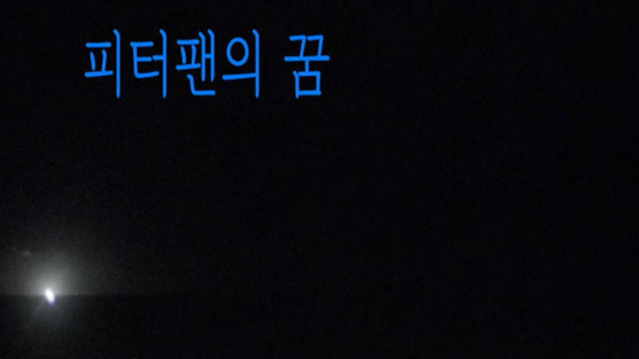 피터팬의 꿈