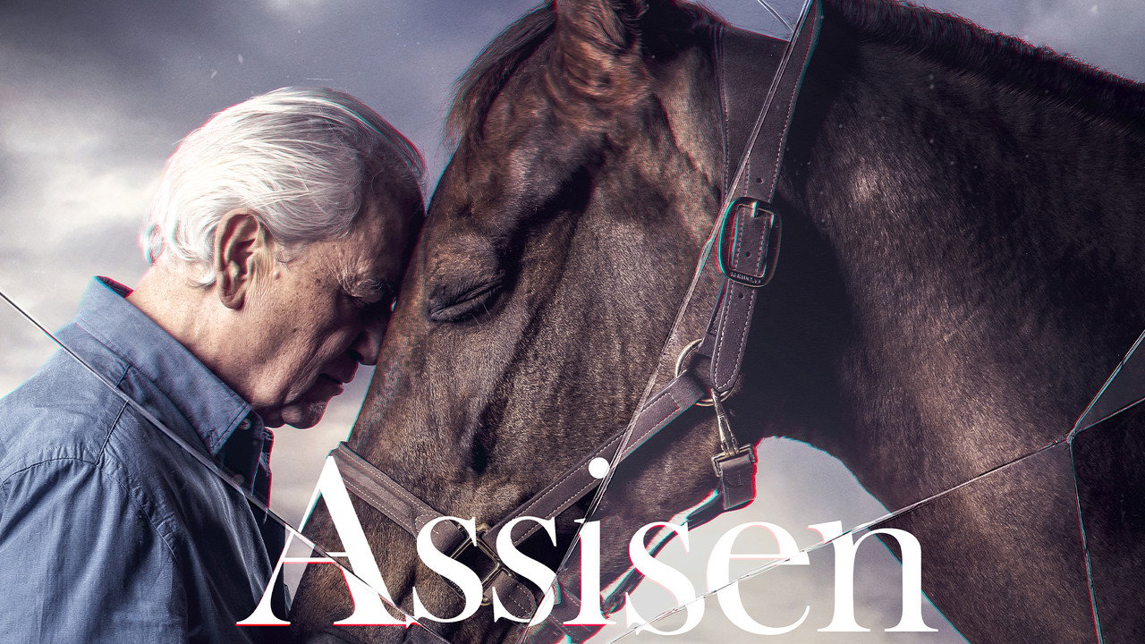 Assisen