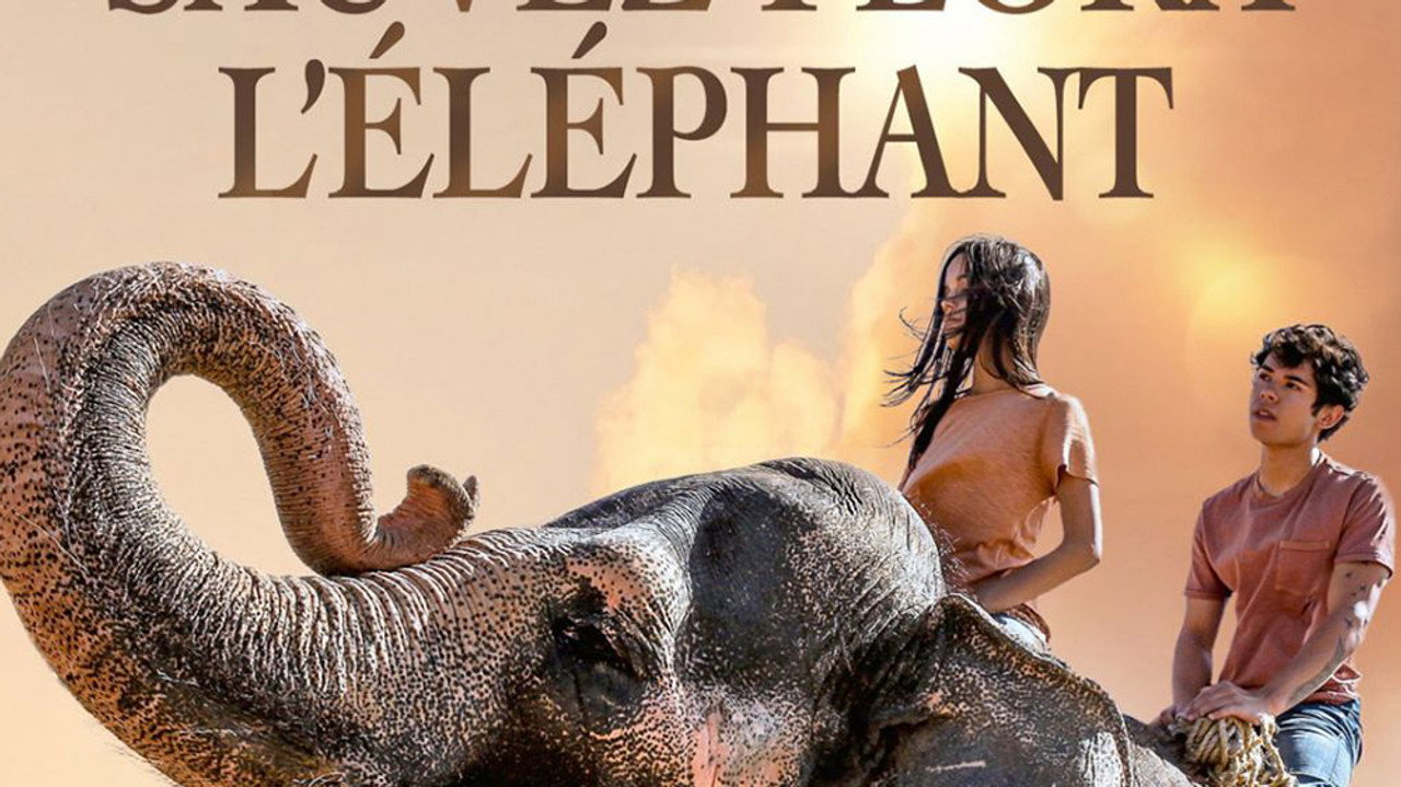 Sauvez Flora l'éléphant