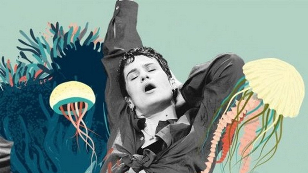 Christine and the Queens - Live aux Vieilles Charrues