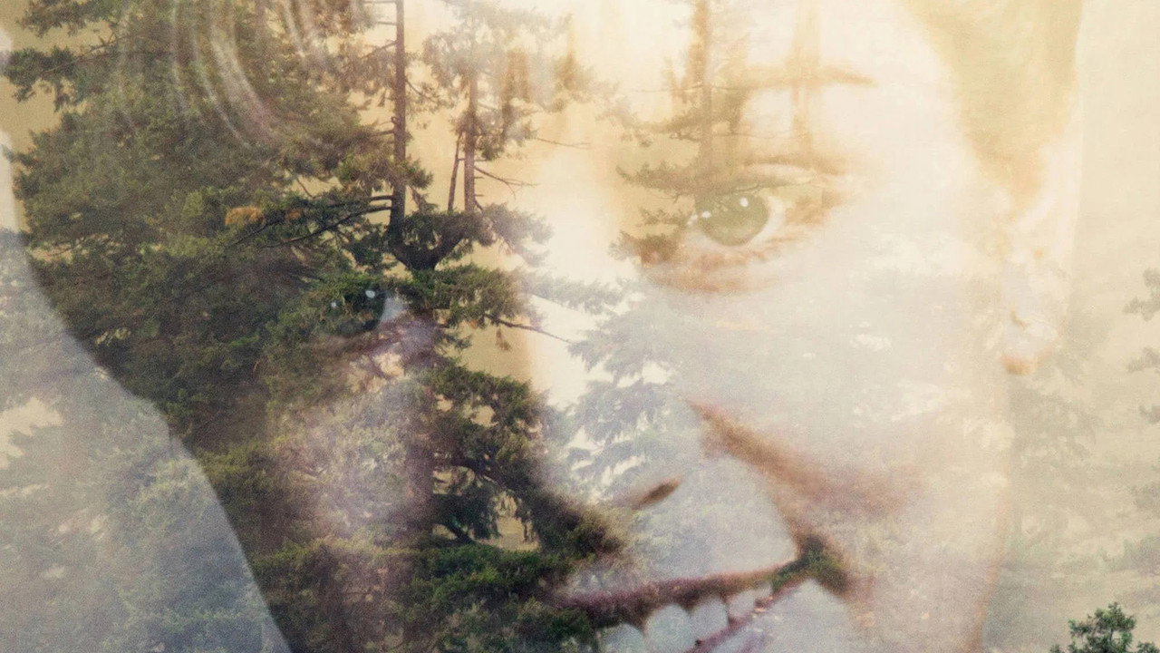 Twin Peaks