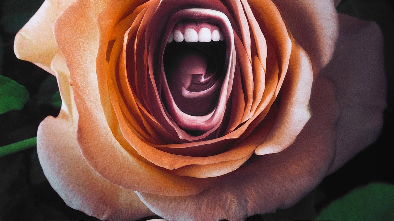 Roar