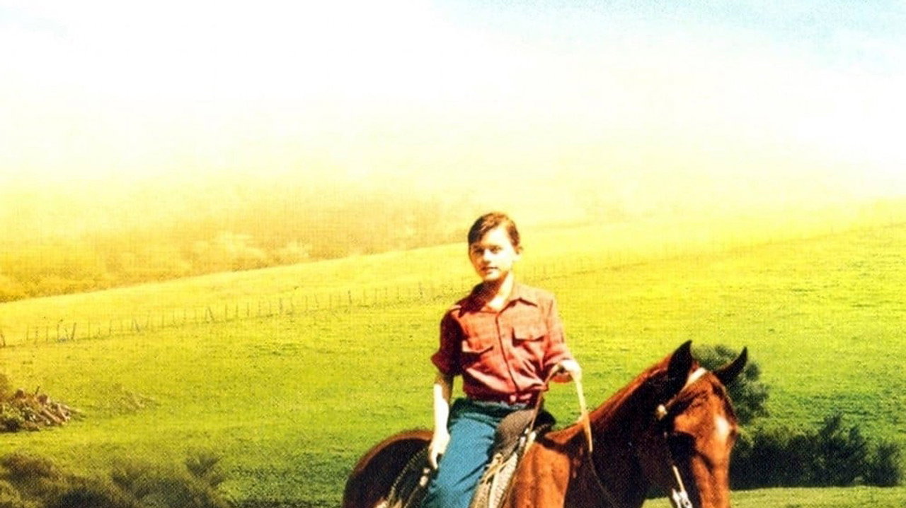 Mon Amie Flicka