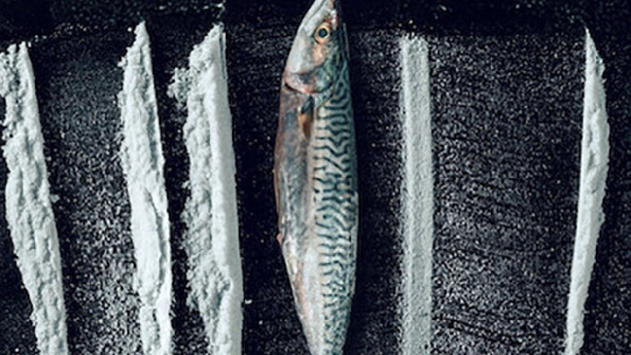 Turn of the Tide: The Surreal Story of Rabo de Peixe