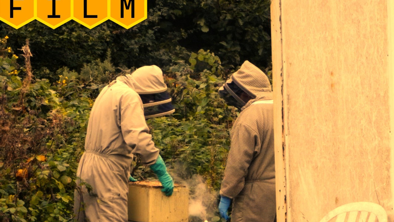 The Beekeepers