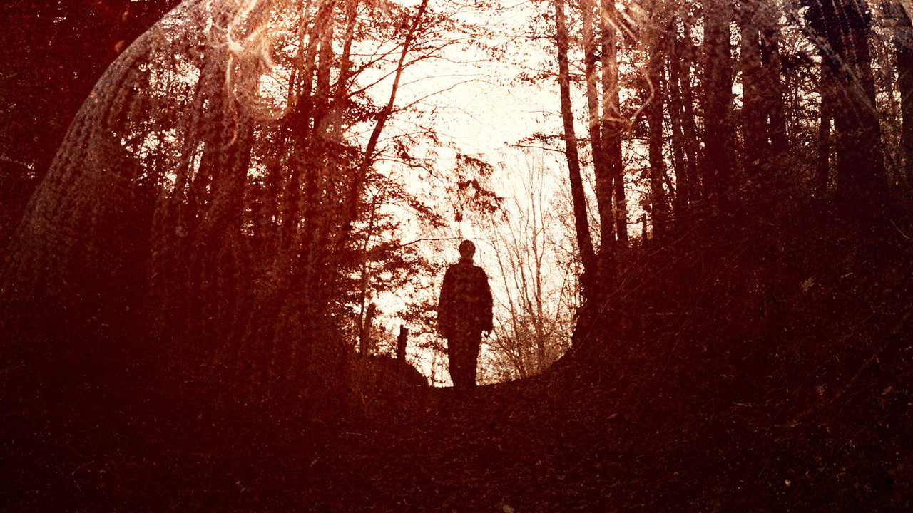Crone Wood