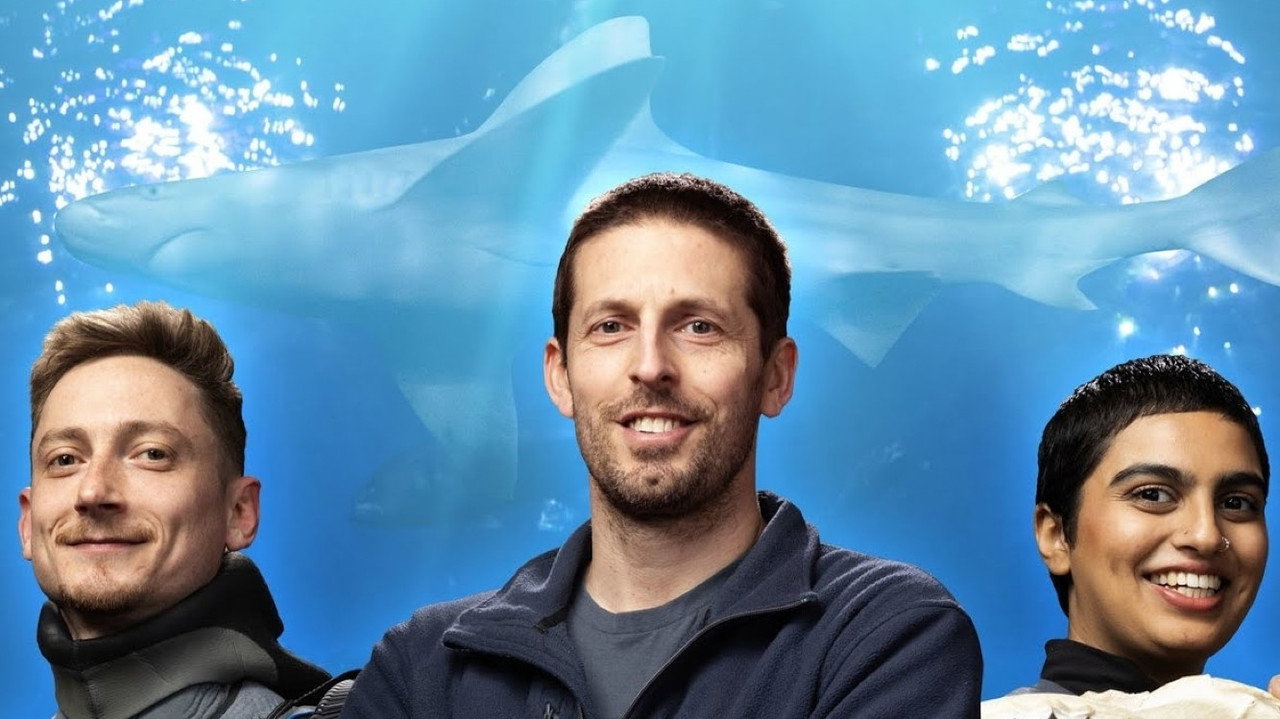 Secrets of the Aquarium
