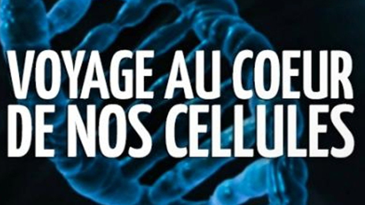 Voyage au cœur de nos cellules – Nom de code : Protéome