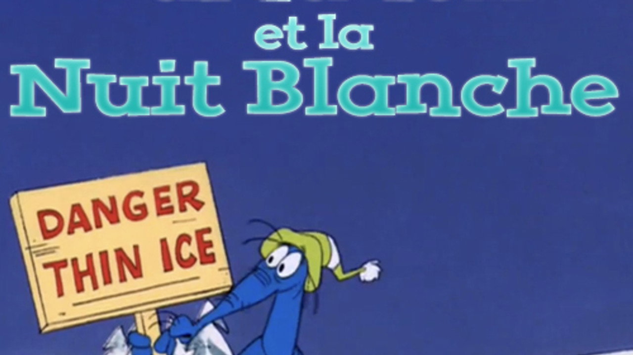 Tamanoir et la nuit blanche