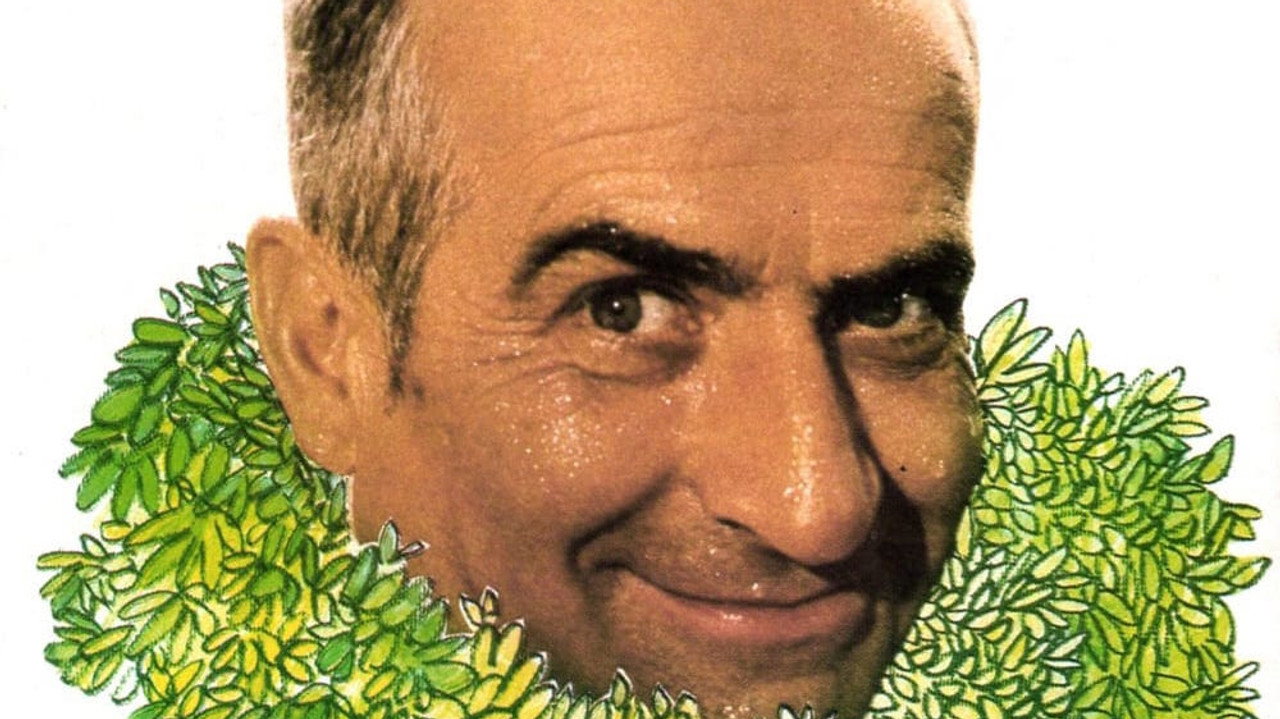 Sur un arbre perché