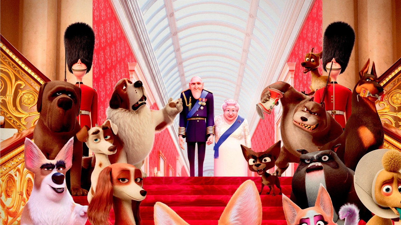 Royal Corgi