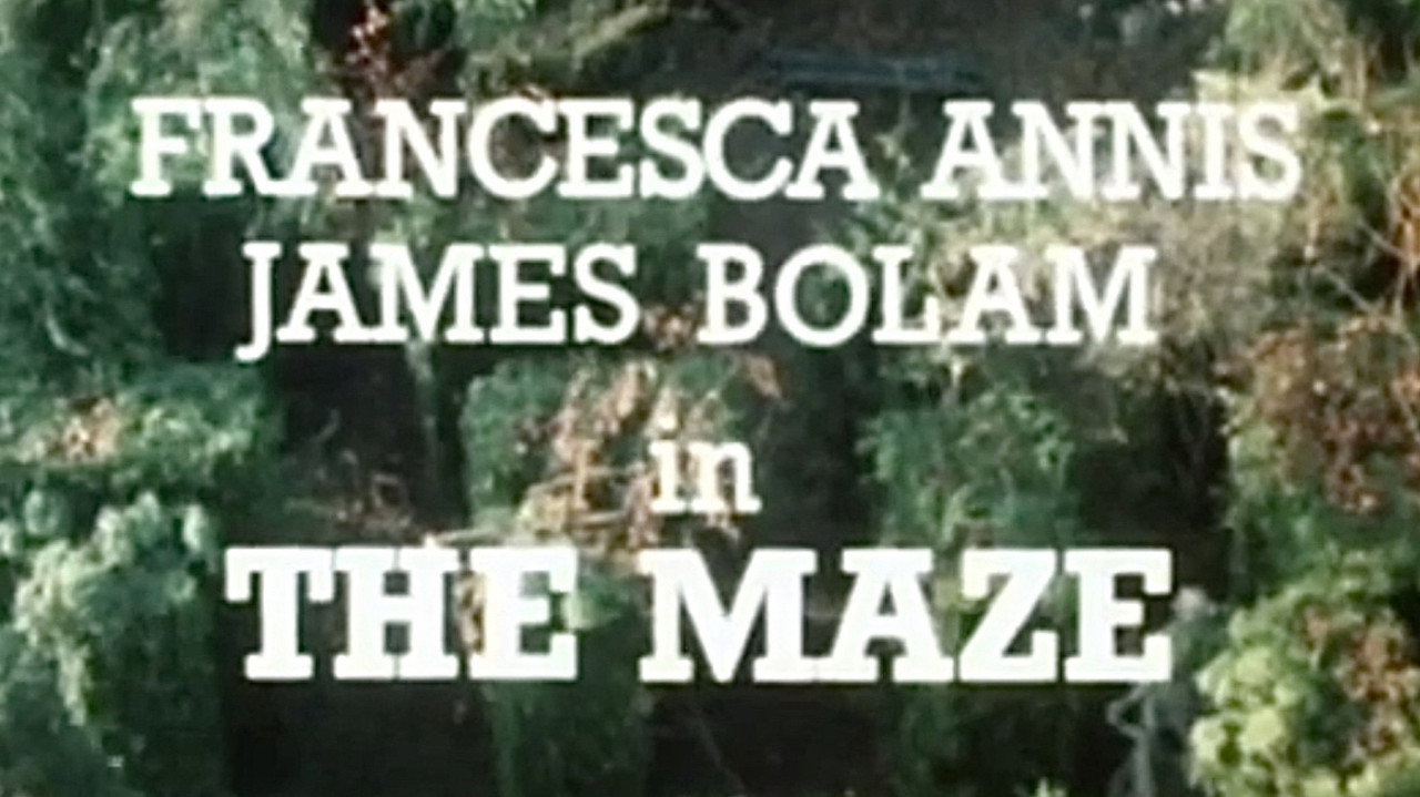 The Maze