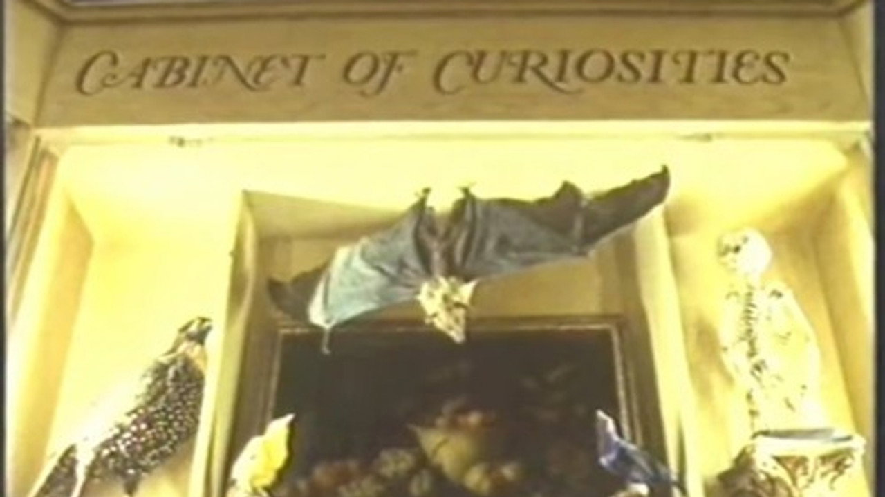 Cabinet of Curiosities