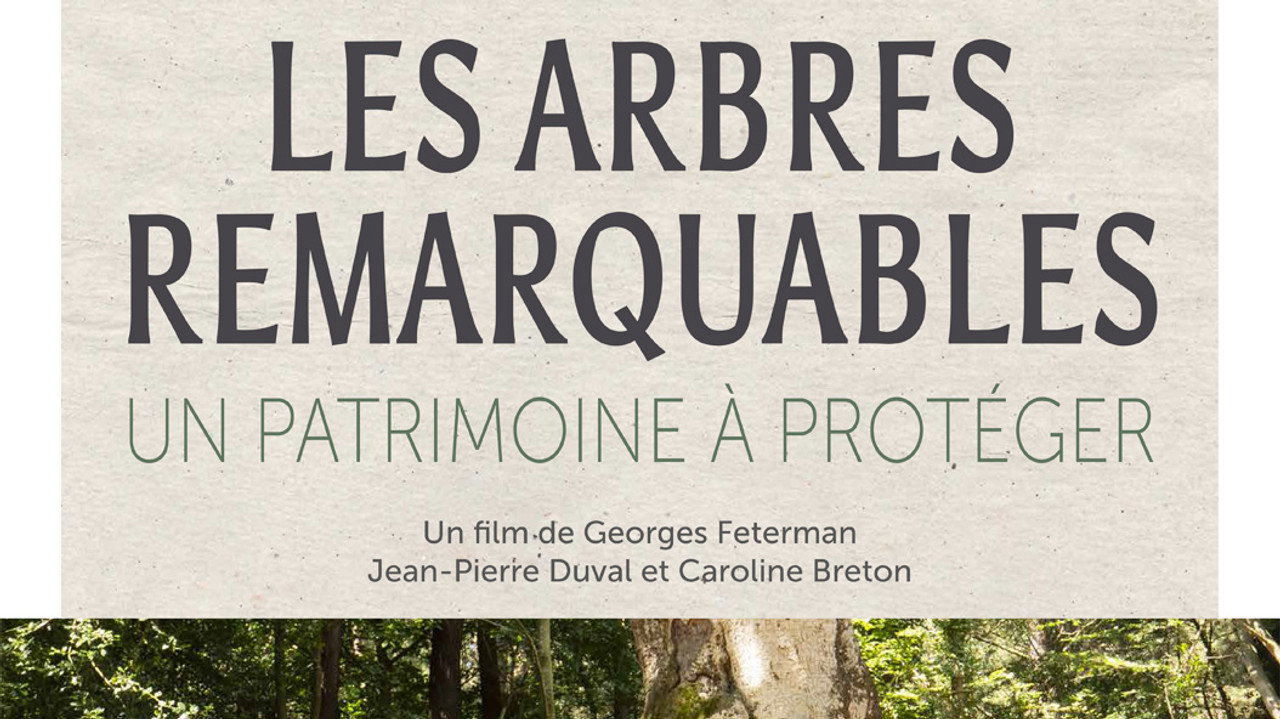 Les arbres remarquables, un patrimoine à protéger