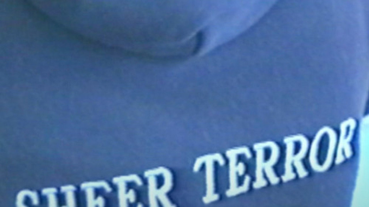 Sheer Terror