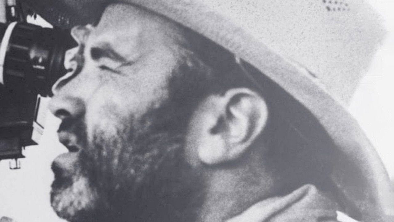 Terrence Malick, filmer l'invisible