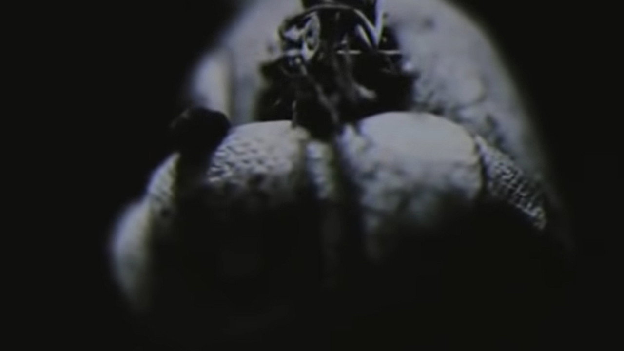 Silent Hill - The Promise