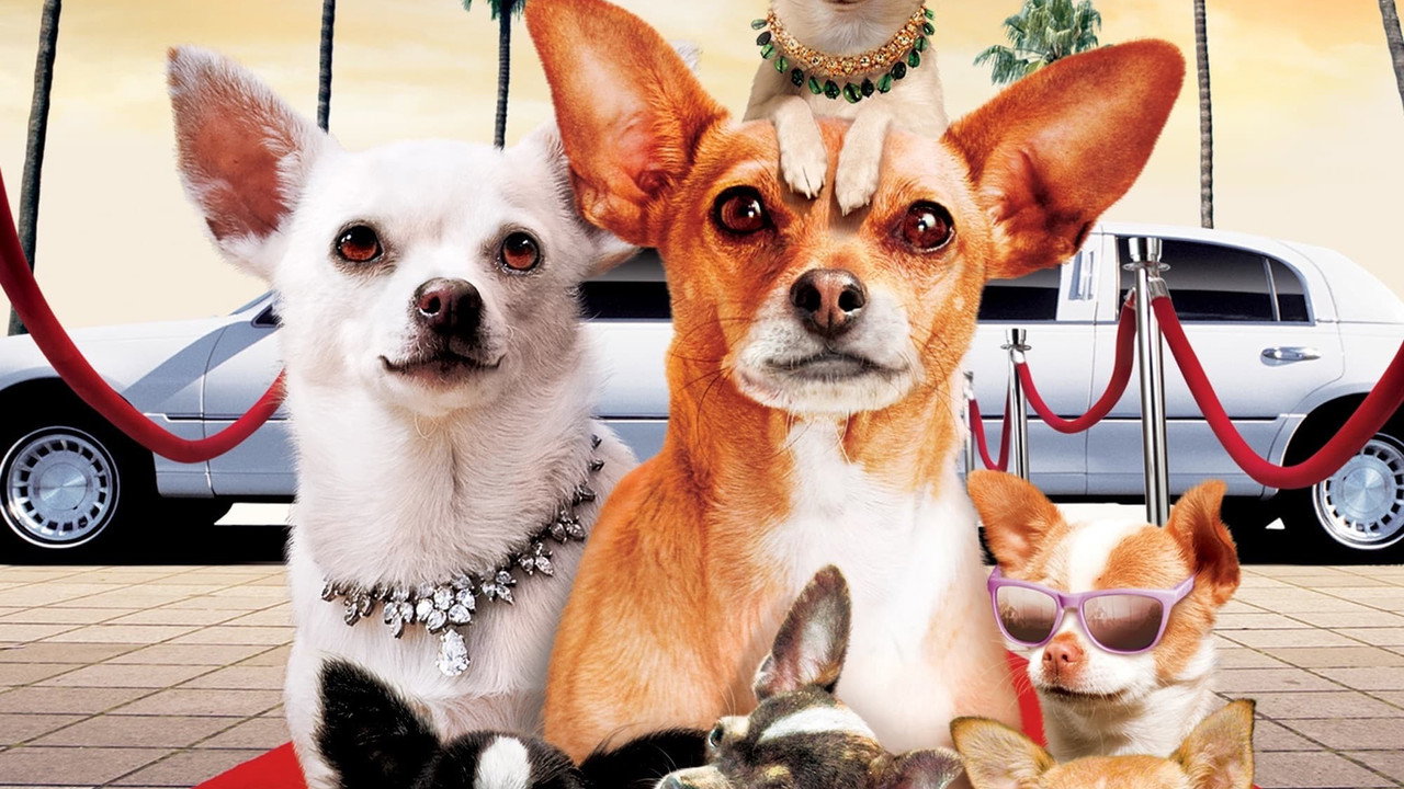 Le Chihuahua de Beverly Hills 2