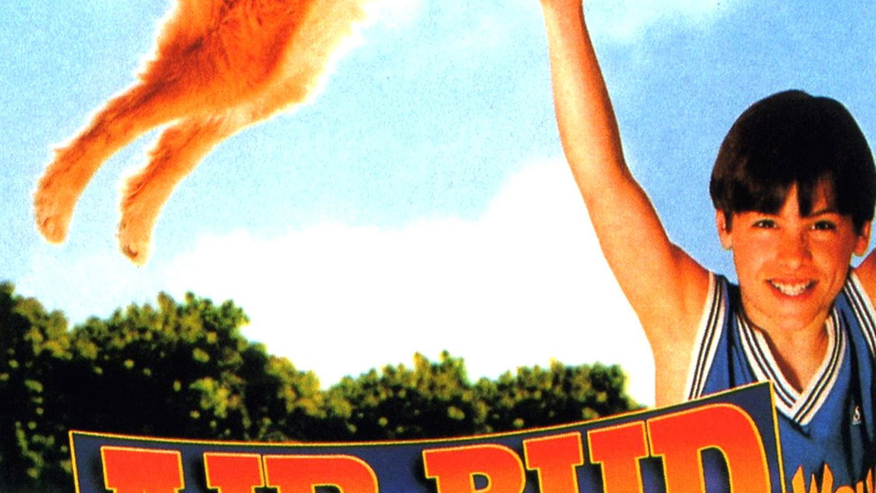 Air Bud - Buddy star des paniers