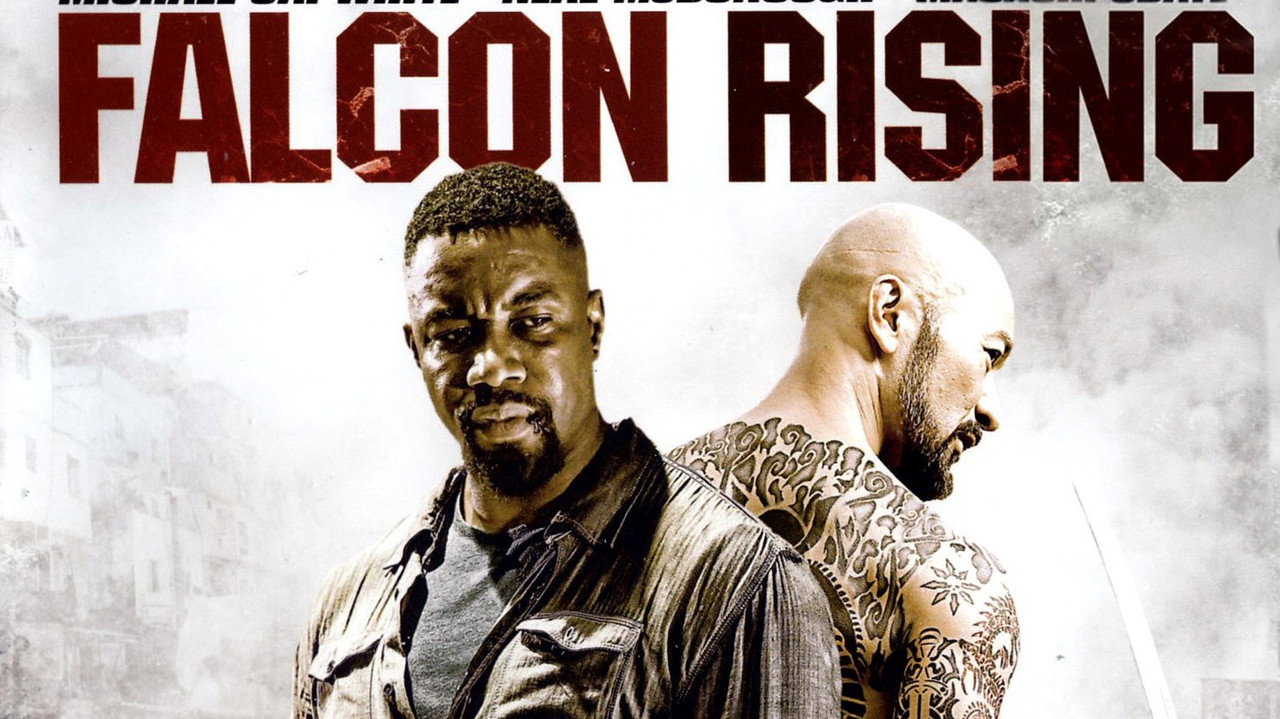 Falcon Rising