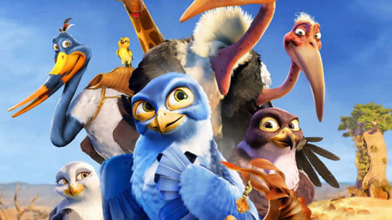 Drôles d'oiseaux