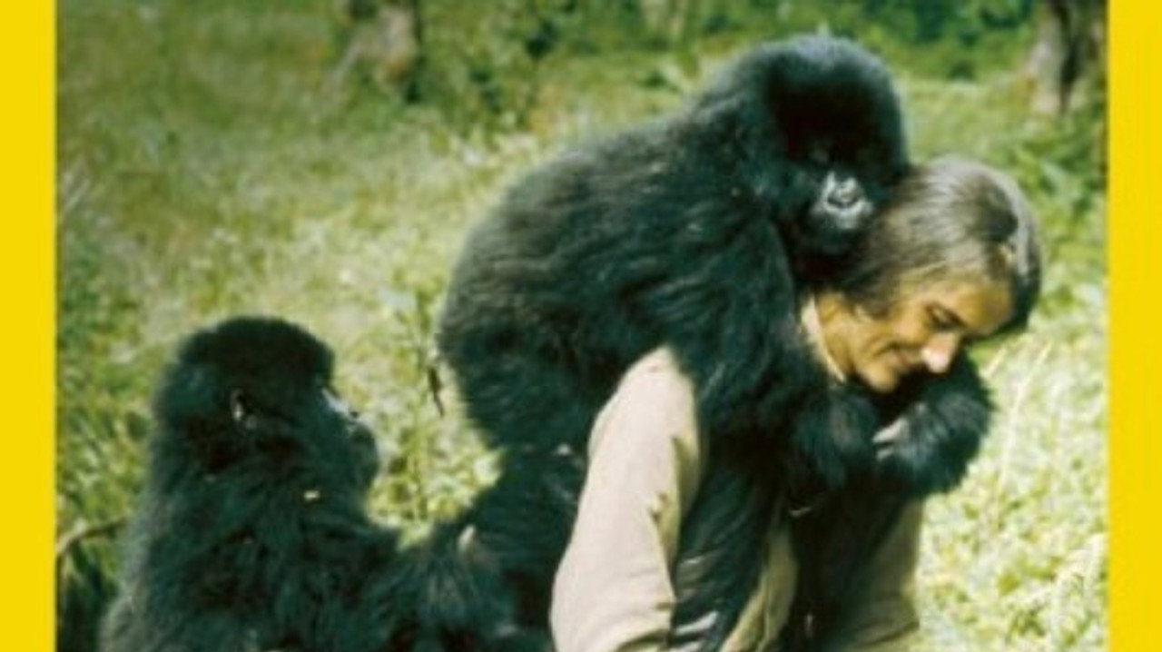 The Lost Film of Dian Fossey
