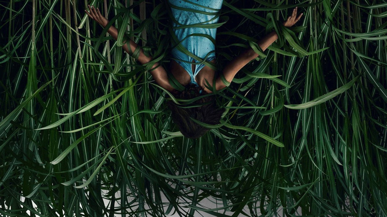 Dans les hautes herbes