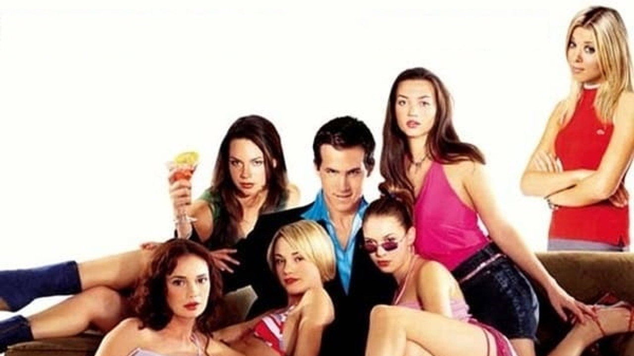 American Party - Van Wilder relations publiques
