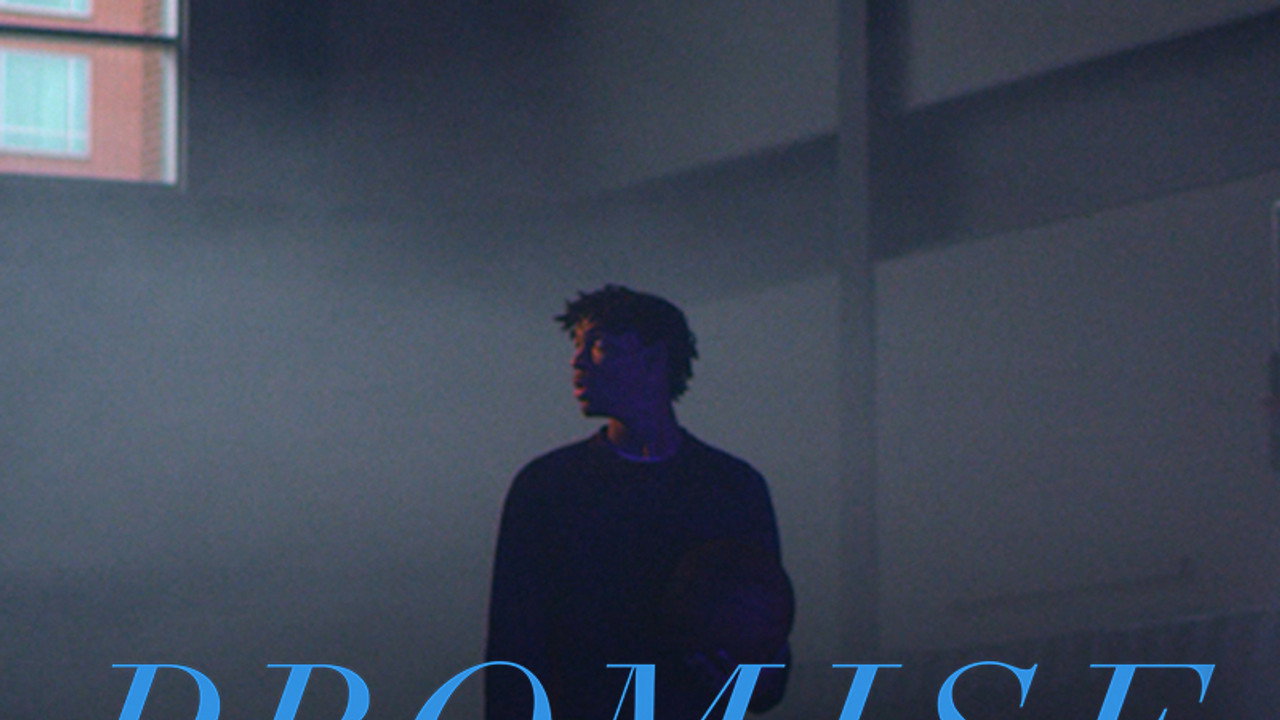 PROMISELAND