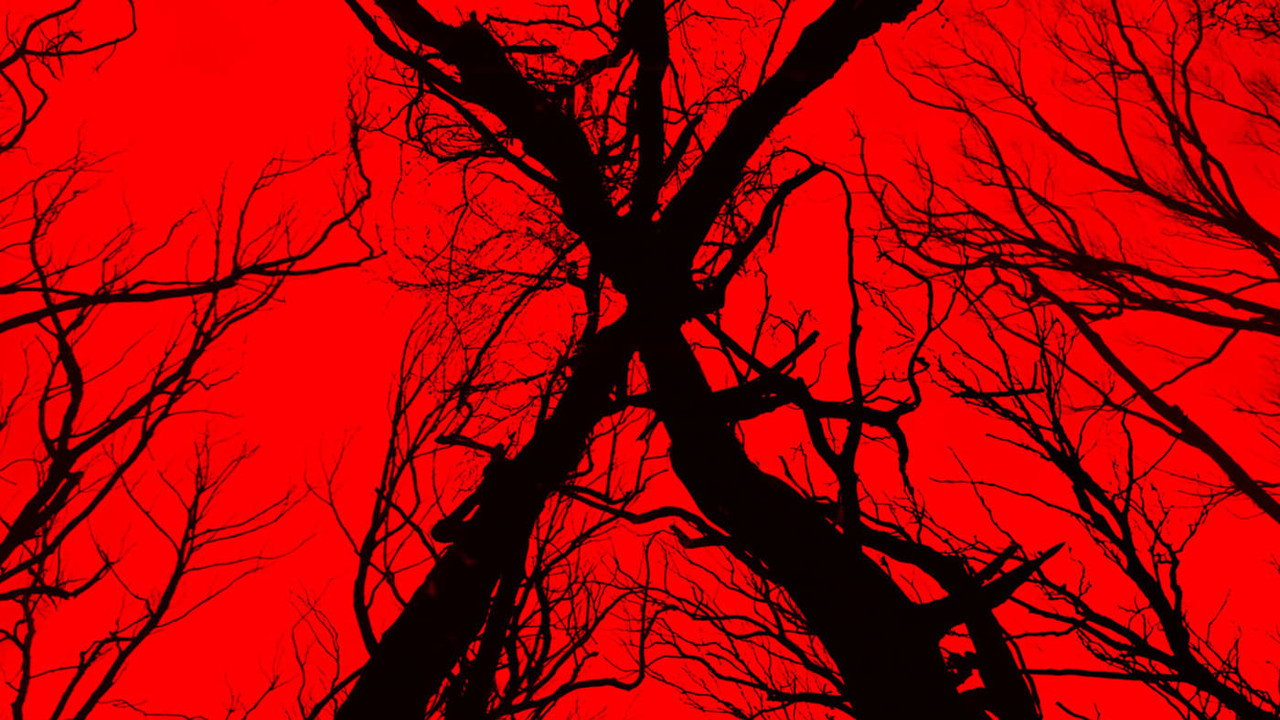 Blair Witch