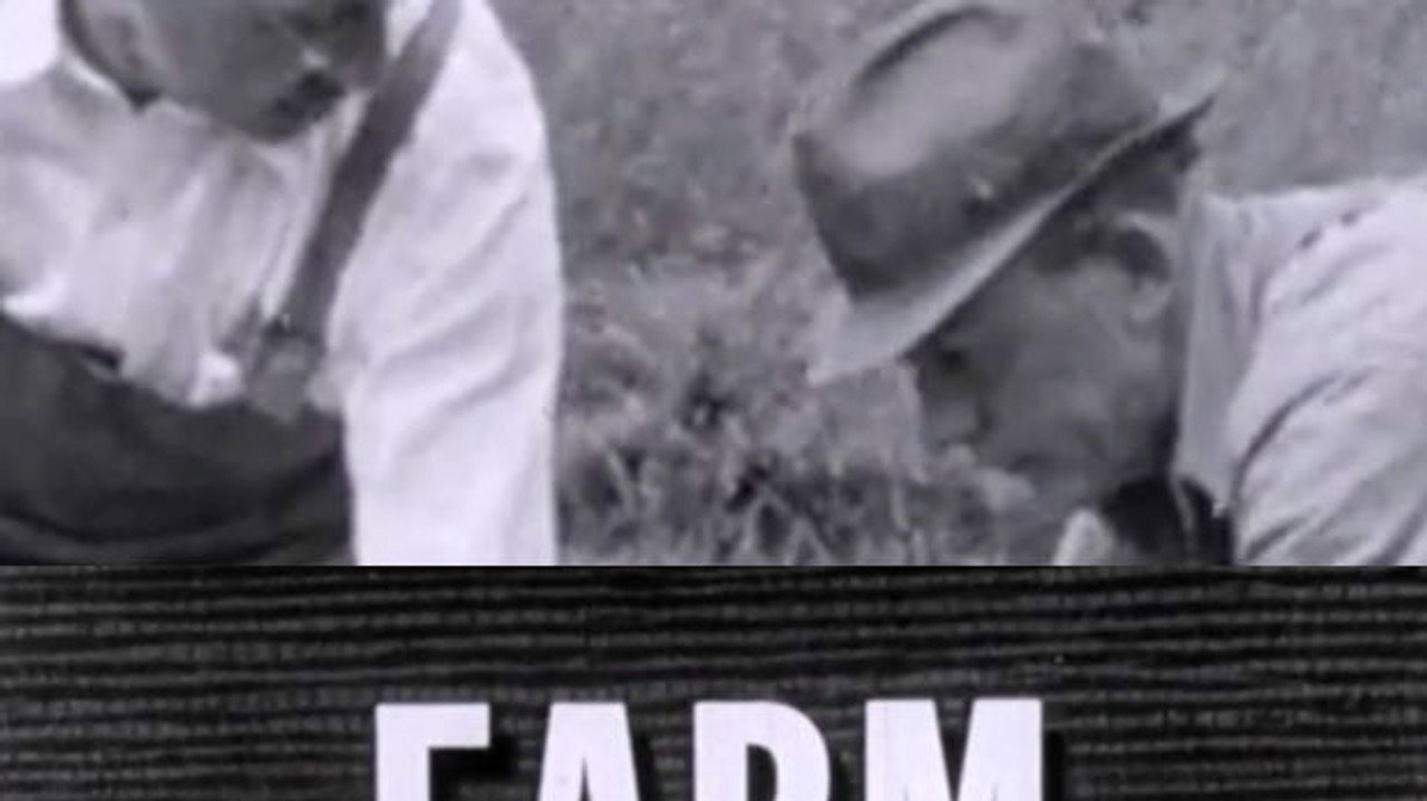 Farm Animals