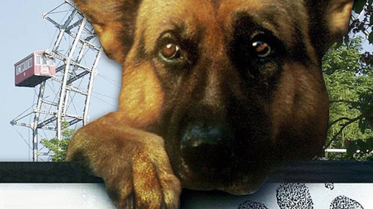 Rex, Chien flic