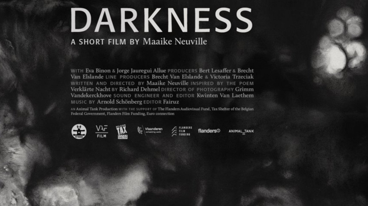 Perfect Darkness