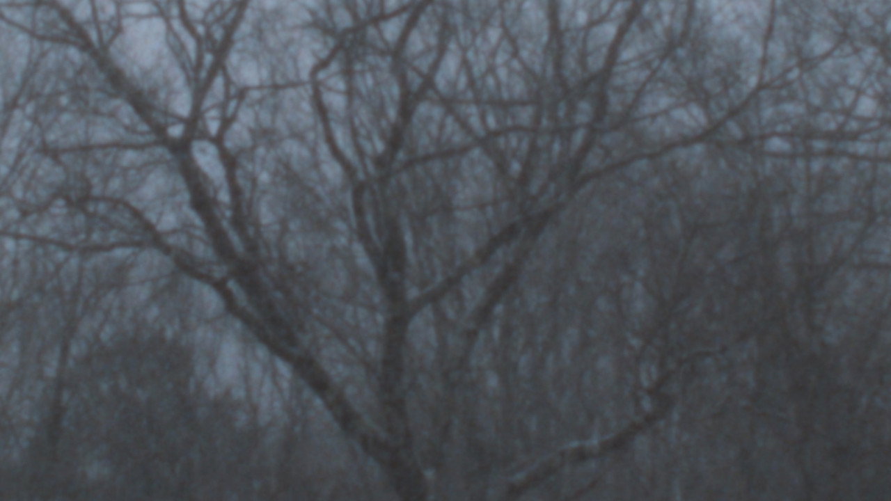 Snowfall