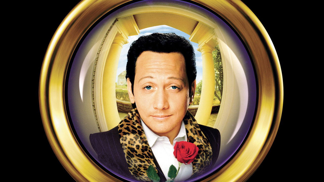 Gigolô por Acidente