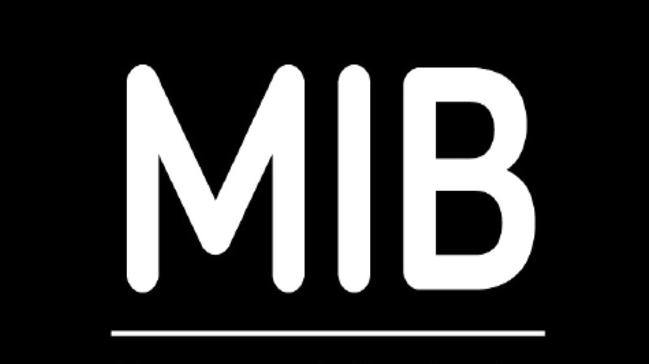M.I.B. Chroniques 2001-2002