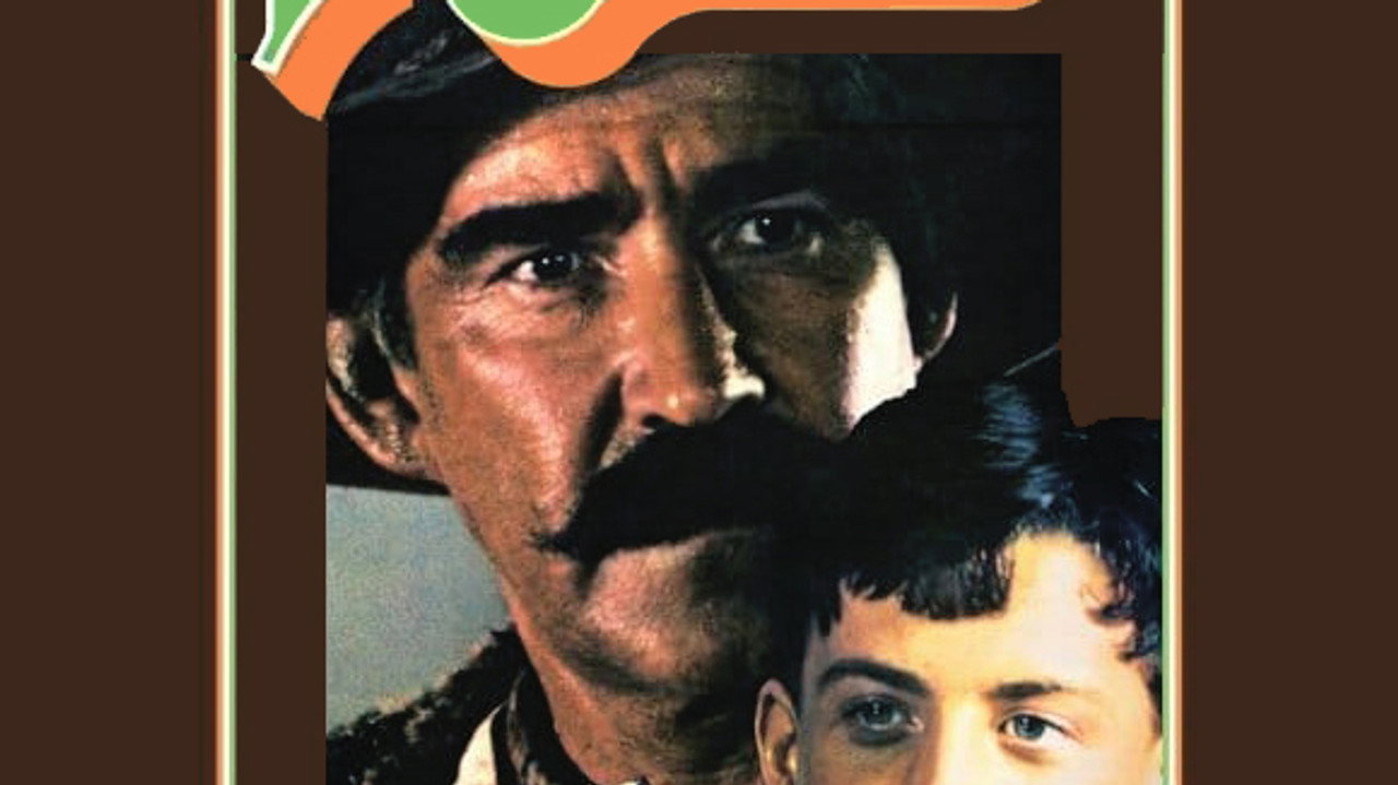 The Irishman