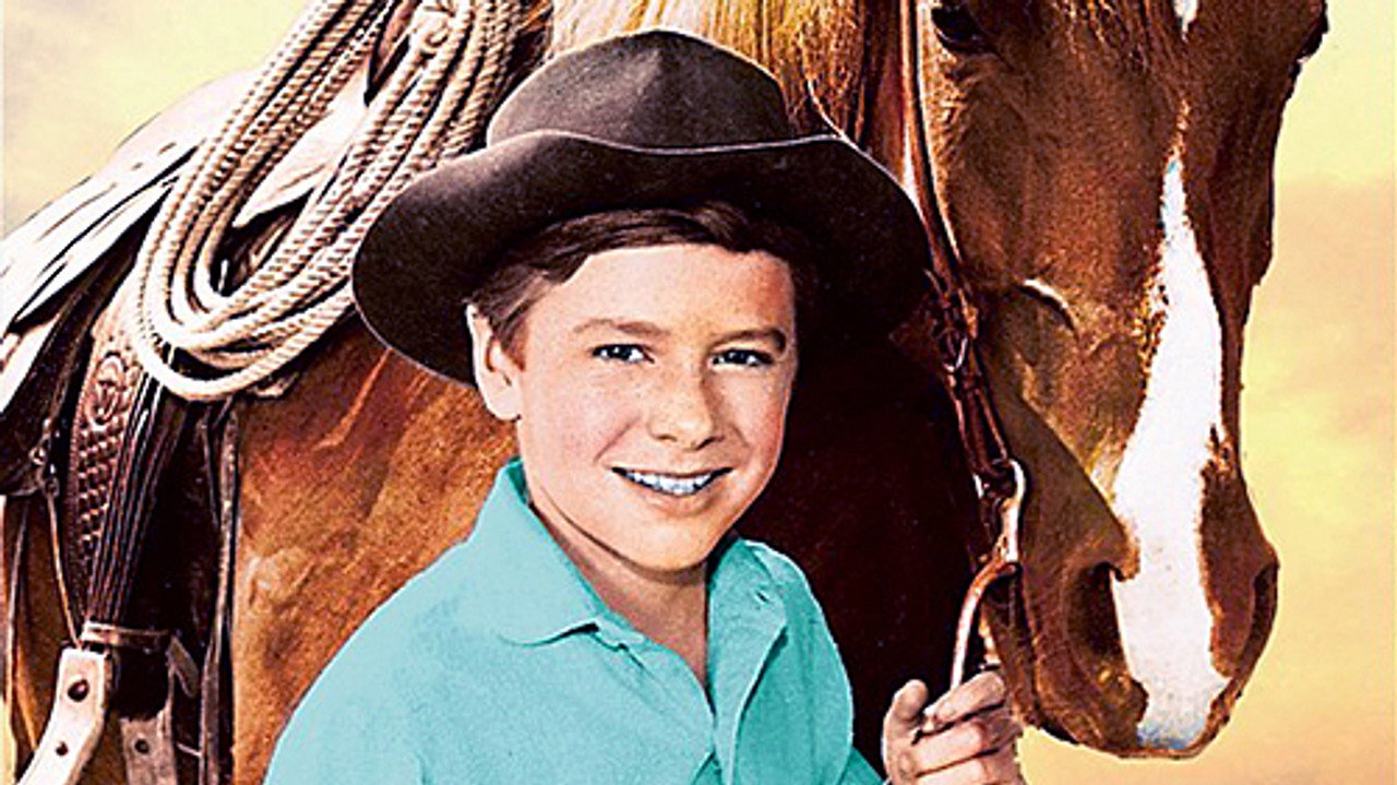 Mon amie Flicka