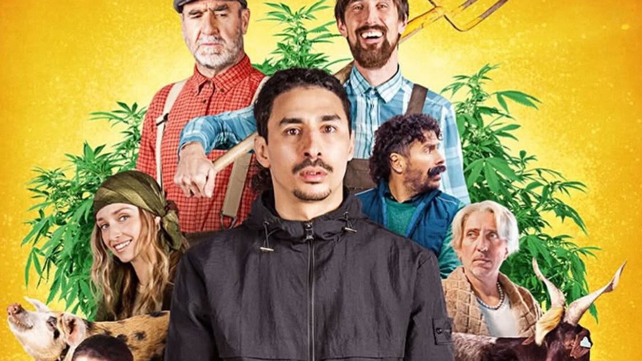La Nirvana