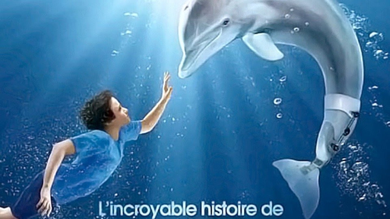 L'Incroyable Histoire de Winter le dauphin