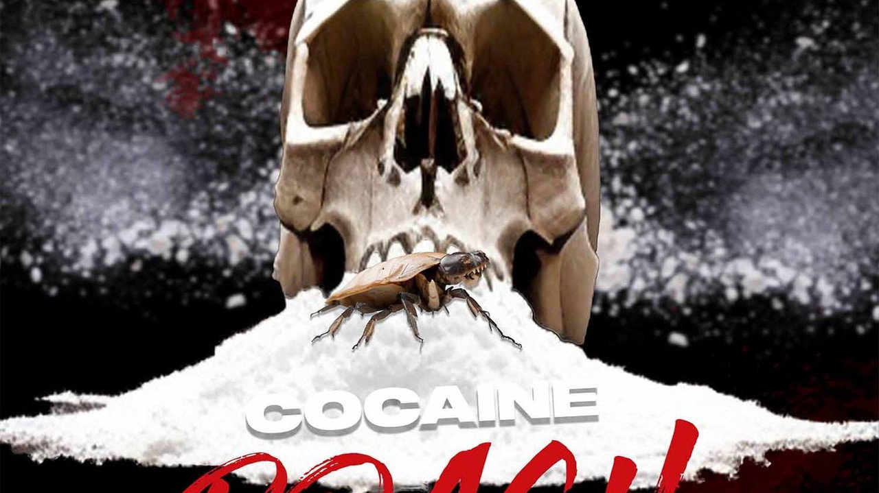 Cocaine Roach