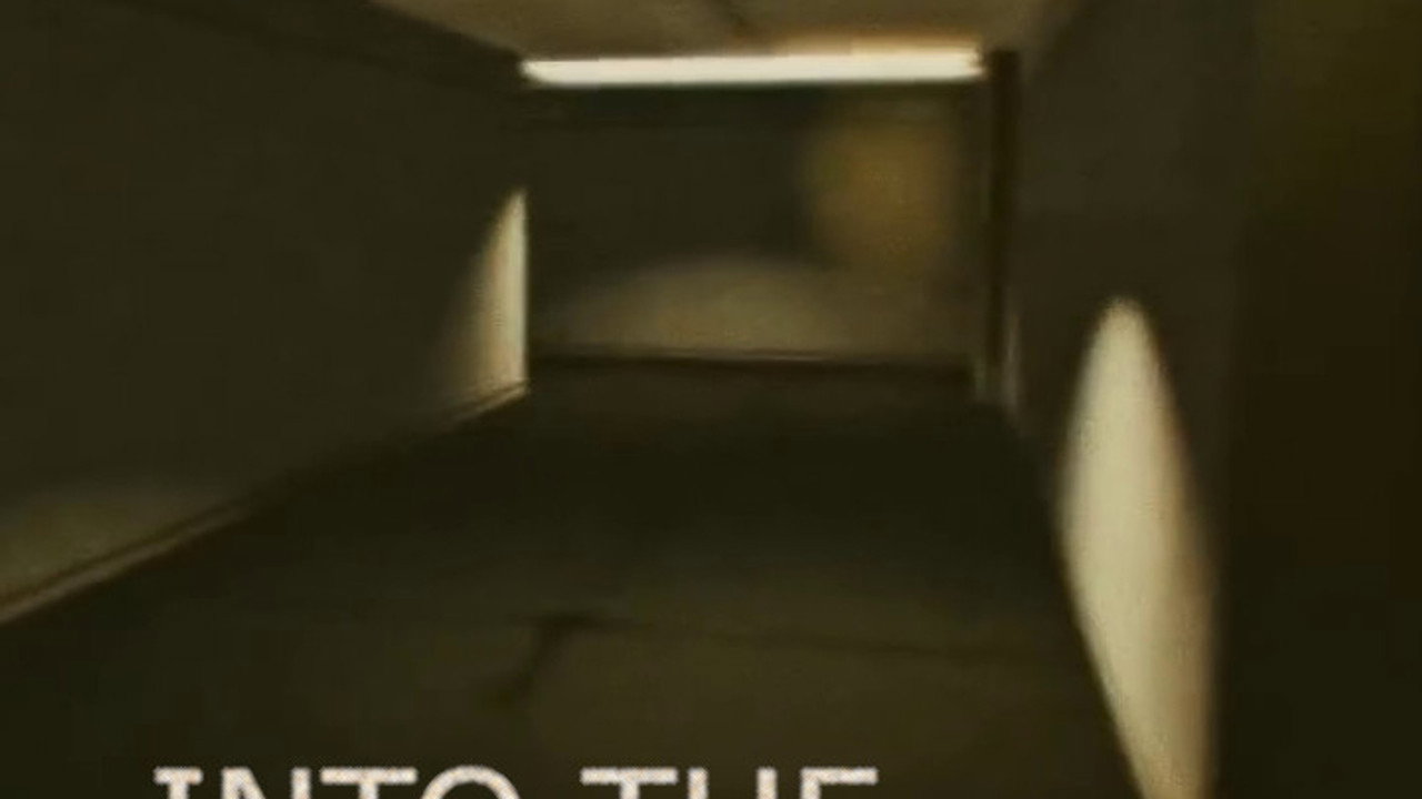 Into the Backrooms