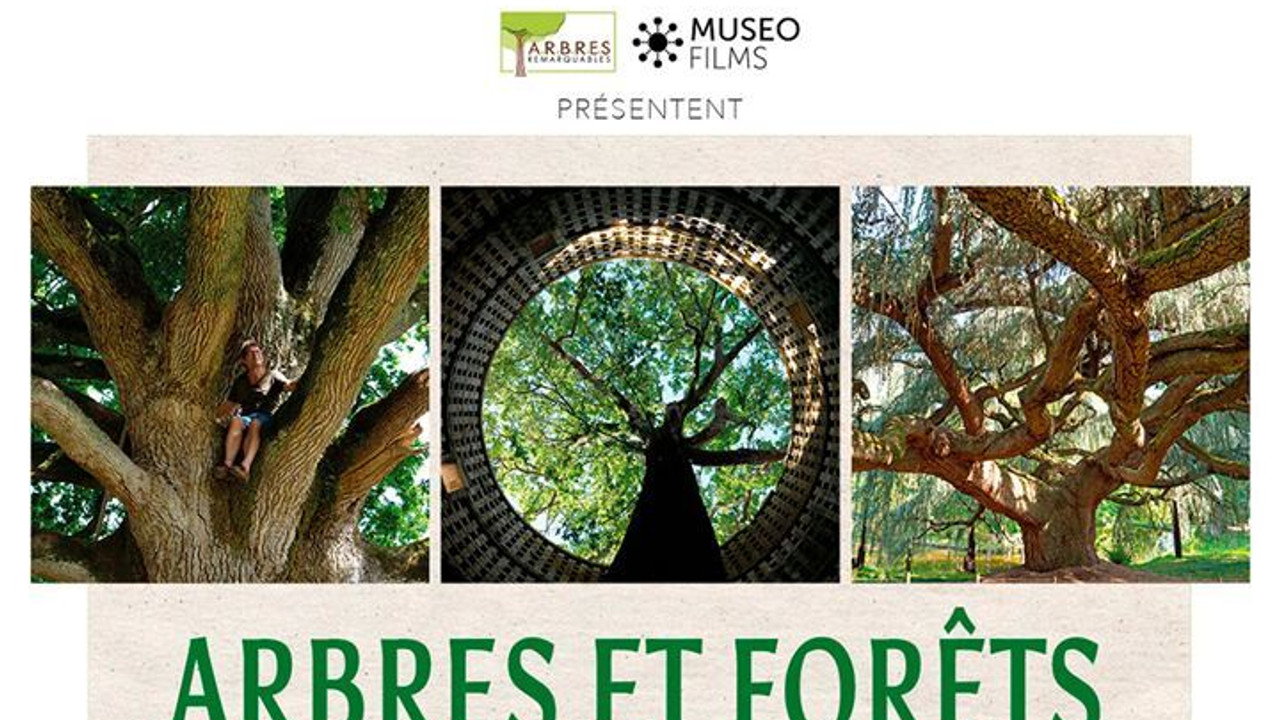 Arbres et forêts Remarquables, un univers à explorer