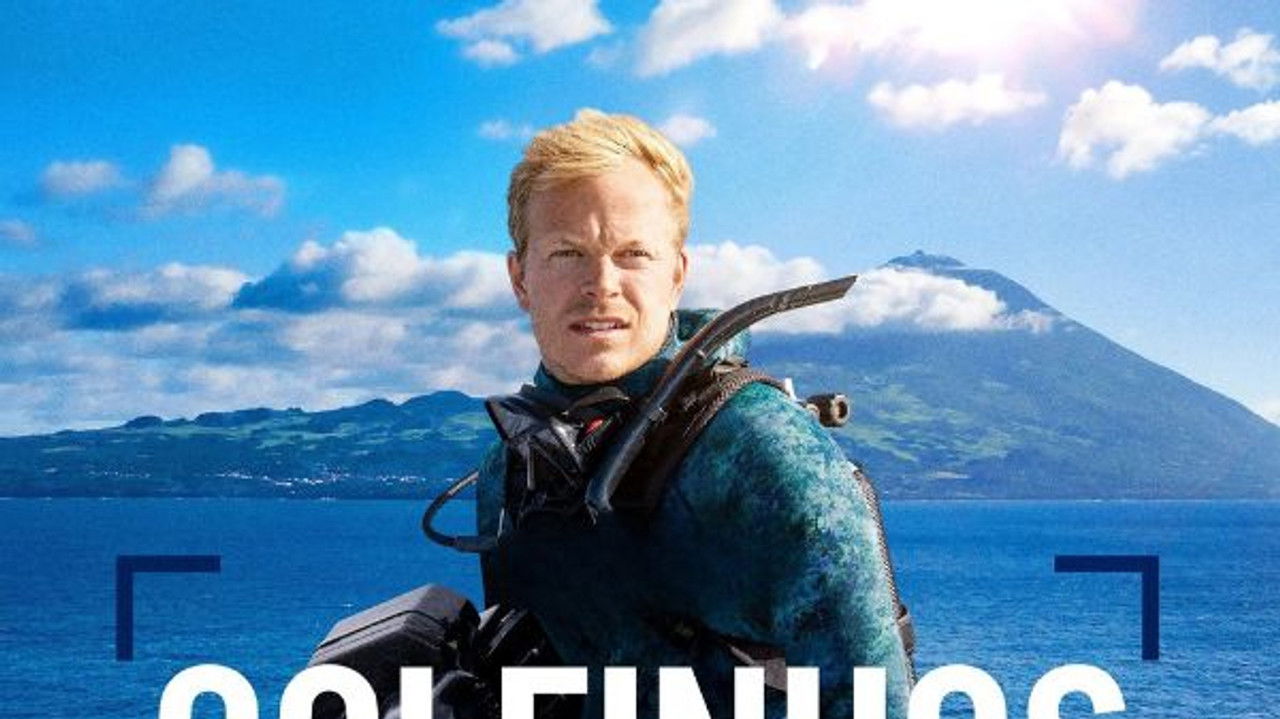 Golfinhos de Perto com Bertie Gregory