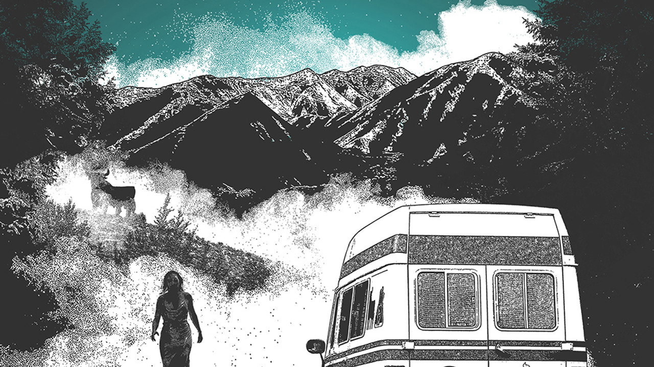 The Passenger