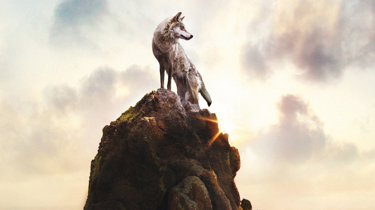 Le dernier loup